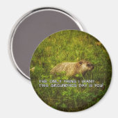 Het enige wat ik wil is deze Groundhog Day magneet (Voorkant / Achterkant)