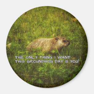 Het enige wat ik wil is deze Groundhog Day magneet