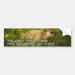 Het enige wat ik wil is deze sticker op de Groundh