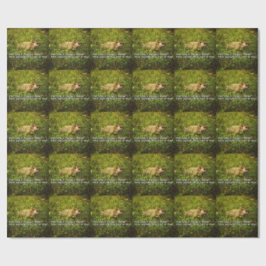 Het enige wat ik wil is dit groundhog Day paper Cadeaupapier (Vlak)