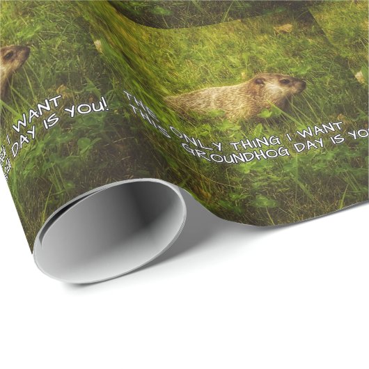 Het enige wat ik wil is dit groundhog Day paper Cadeaupapier (Rol Hoek)