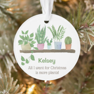 Het enige wat ik wil voor de kerst zijn meer plant ornament