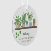 Het enige wat ik wil voor de kerst zijn meer plant ornament (voorkant)