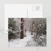 Het Epping Forest in de sneeuw. Briefkaart (Voorkant / Achterkant)