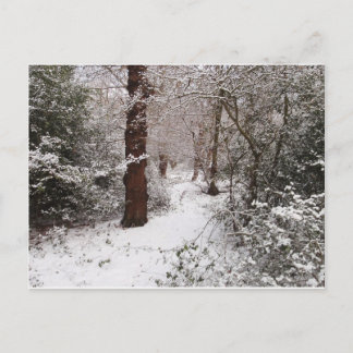 Het Epping Forest in de sneeuw. Briefkaart