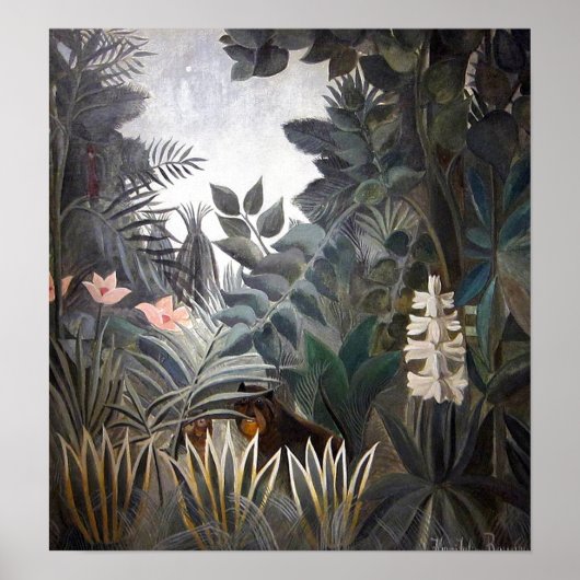 Het Equatoriaal Oerwoud Poster (Voorkant)