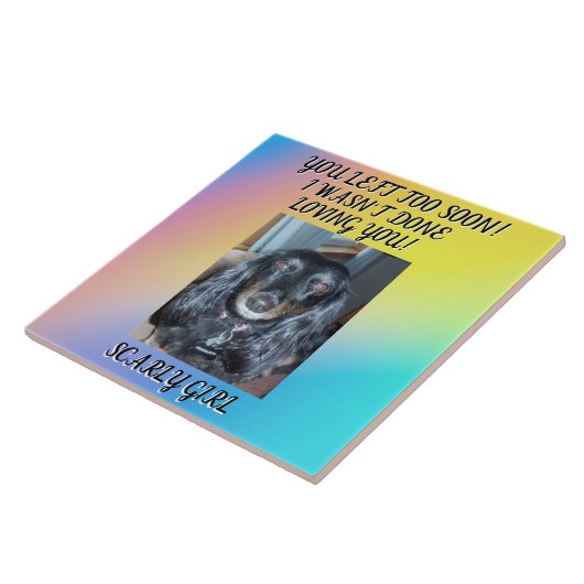 Het eren van uw geliefde huisdier: oprechte Memori Tegeltje (Zijkant)