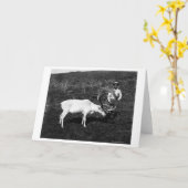 Het Eskimo en Gevangen Rendier van Alaska Kaart (Gele Bloem)