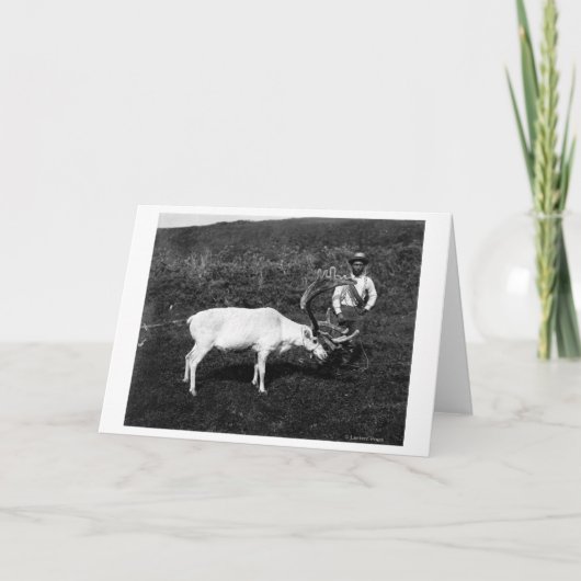 Het Eskimo en Gevangen Rendier van Alaska Kaart (Voorkant)