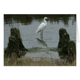 Het estuarium in Pajaro Dunes
