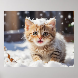 *~* Het eten van Sneeuw Kat 5:4 Kitten Cat AP68 Poster