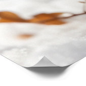 *~* Het eten van Sneeuw Kat 5:4 Kitten Cat AP68 Poster (Hoek)