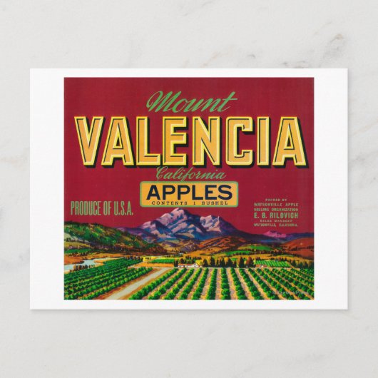 Het etiket Valencia Apple - Watsonville, CA Briefkaart (Voorkant)