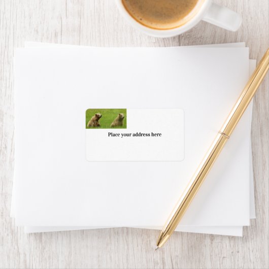 Het Etiket van het Adres van de terugkeer met griz (Insitu)