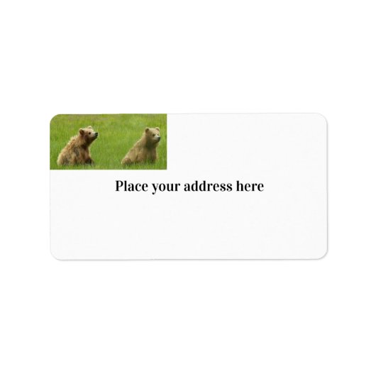 Het Etiket van het Adres van de terugkeer met griz (Voorkant)