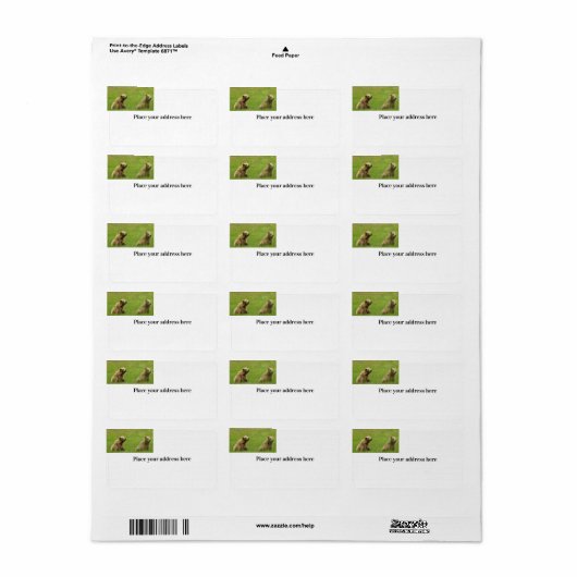 Het Etiket van het Adres van de terugkeer met griz (Full Sheet)