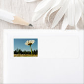 Het Etiket van het Adres van de Terugkeer van (Insitu)