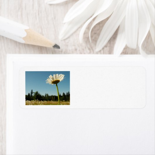 Het Etiket van het Adres van de Terugkeer van (Insitu)