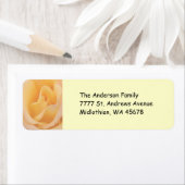 Het Etiket van het Adres van de Terugkeer van het  (Insitu)