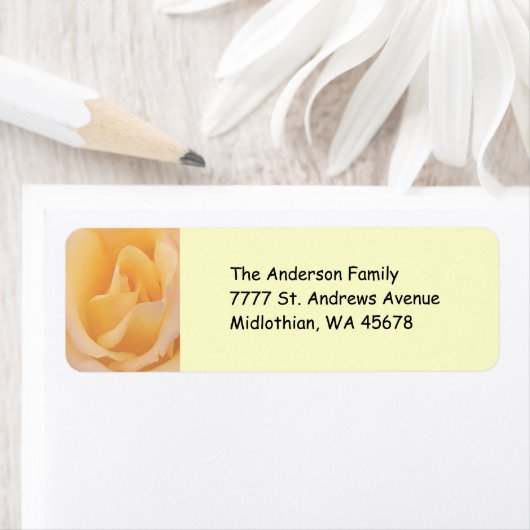 Het Etiket van het Adres van de Terugkeer van het  (Insitu)