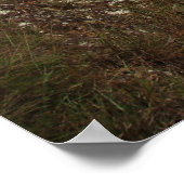 "Het evangelie is alleen goed nieuws als het er ko Poster (Hoek)