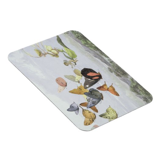 Het Fairy Queen's Carriage | Elf World Magneet (Rechterzijde)