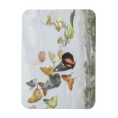 Het Fairy Queen's Carriage | Elf World Magneet (Verticaal)