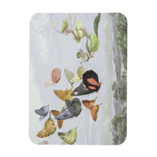 Het Fairy Queen's Carriage | Elf World Magneet (Verticaal)