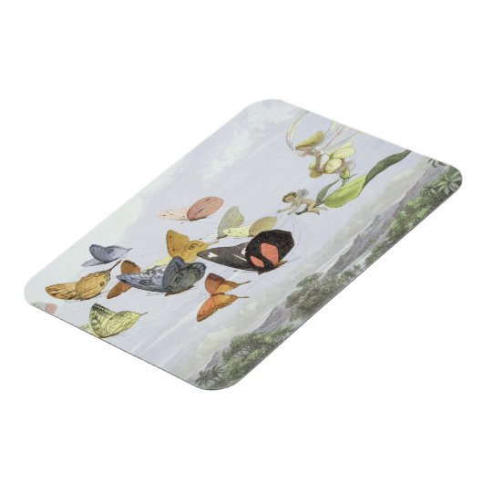 Het Fairy Queen's Carriage | Elf World Magneet (Linkerzijde)