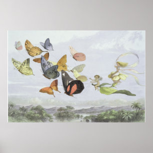 Het Fairy Queen's Carriage   Elf World Poster