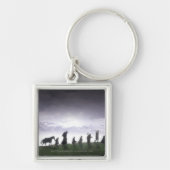 Het Fellowship van de Ring Sleutelhanger (Voorkant)