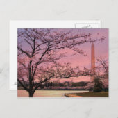Het Festival van de Bloesem van de Kers van het Briefkaart (Voorkant / Achterkant)