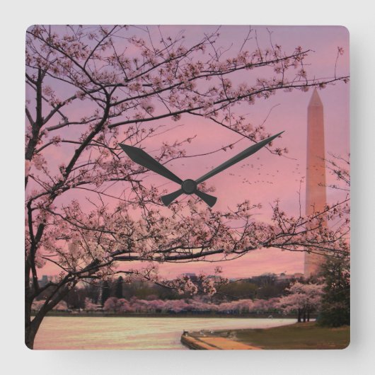 Het Festival van de Bloesem van de Kers van het Vierkante Klok (Voorkant)