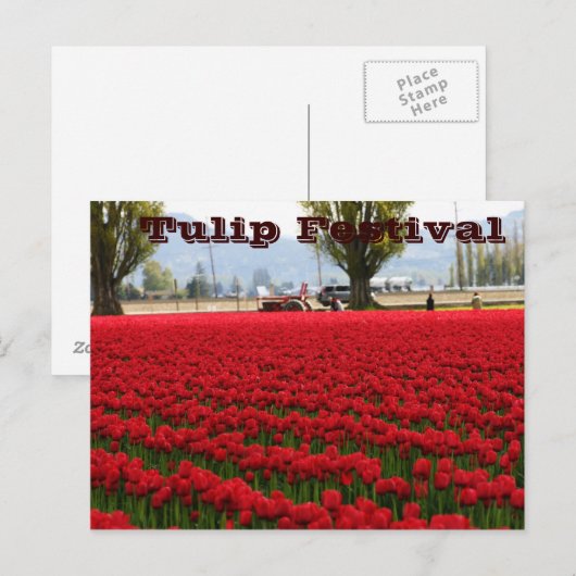 Het Festival van de tulp Briefkaart (Voorkant / Achterkant)
