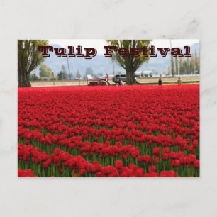 Het Festival van de tulp Briefkaart