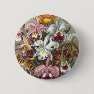 Het Fijne Art. van Ernst Haeckel van orchideeën Ronde Button 5,7 Cm