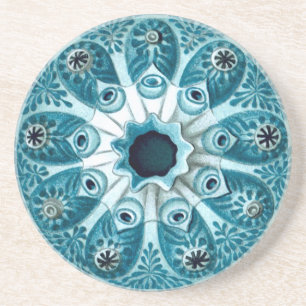 Het Fijne Art. van Polycyclus Ernst Haeckel van Zandsteen Onderzetter