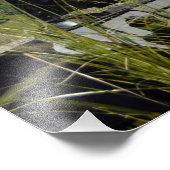 Het Filipijnse marinespect landingsteam Foto Afdruk (Hoek)