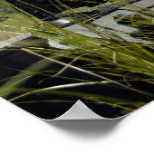 Het Filipijnse marinespect landingsteam Poster (Hoek)