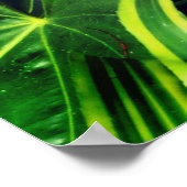 Het Flamingo plant Poster (Hoek)