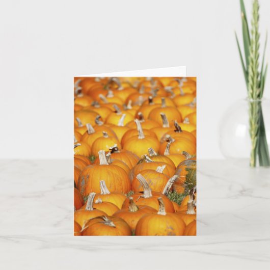 Het Flard van de pompoen Feestdagen Kaart (Voorkant)