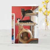 Het Flatgebouw met koopflats van het kat Kaart (Gele Bloem)