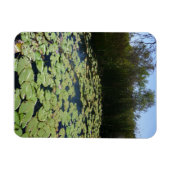 Het flexibele Foto Afbeelding van de Pads van de O Magneet (Horizontaal)