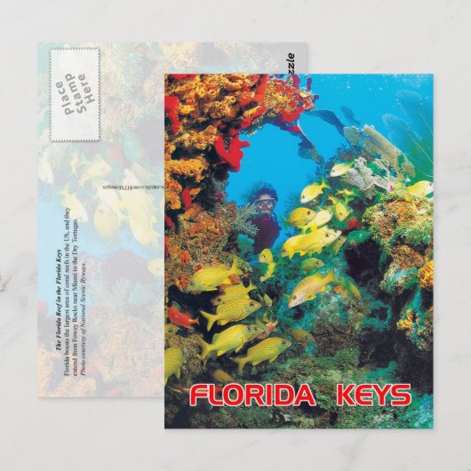 Het Florida-rif in de Florida Keys Briefkaart (Voorkant / Achterkant)