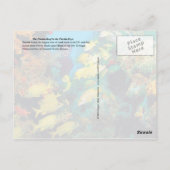 Het Florida-rif in de Florida Keys Briefkaart (Achterkant)