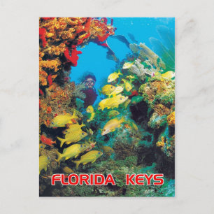 Het Florida-rif in de Florida Keys Briefkaart