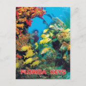 Het Florida-rif in de Florida Keys Briefkaart (Voorkant)