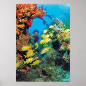 Het Florida-rif in de Florida Keys Poster (Voorkant)