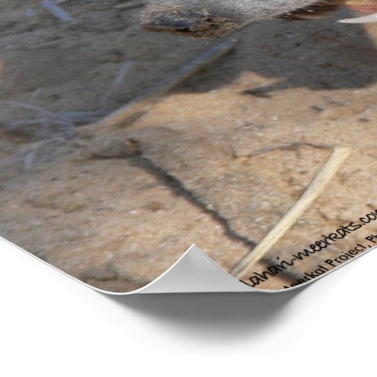 Het Fluffernotter-Collectie - Eeten Poster (Hoek)