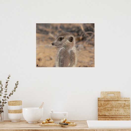 Het Fluffernutter Collectie - Dagdromen Poster (Keuken)